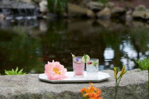 Outdoor wedding cocktails